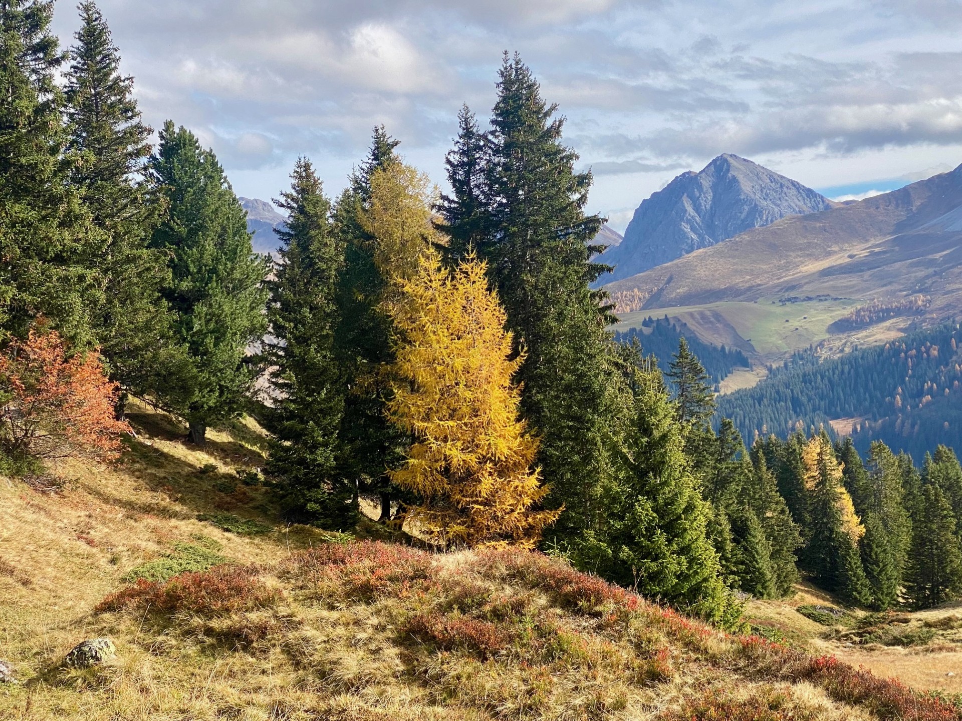Herbst in Arosa-Mädrigen